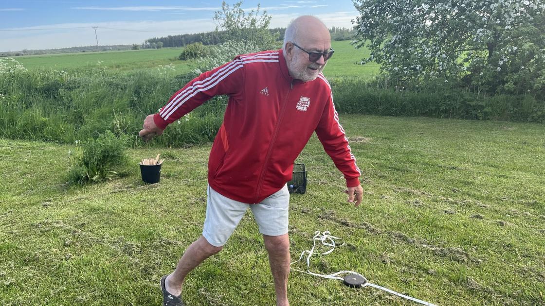 Artikelbild